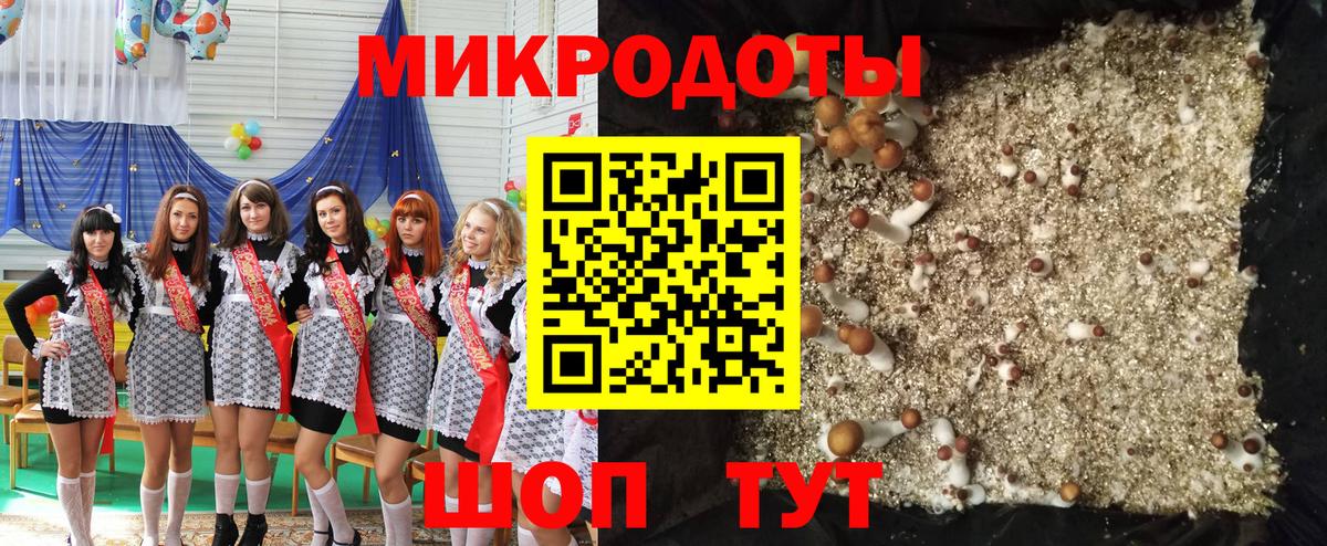 Димитровград  сколько стоит  Вход с VPN  Галлюциногенные грибы мухоморы 