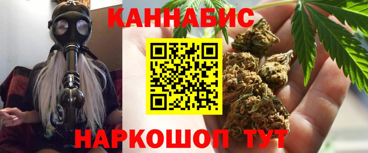 Канабис сатива Димитровград
